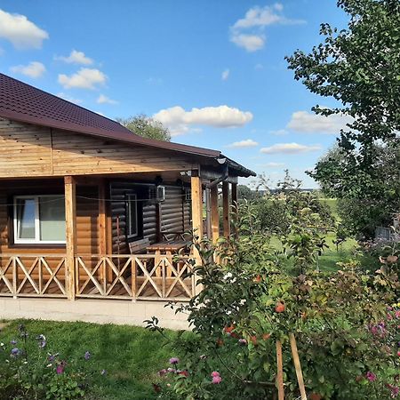 Гостьовий Дім На Герцена Guest Hous On Gertsena Hotel Novhorod-Siverskyi Bilik gambar