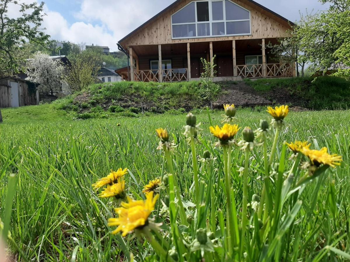 Гостьовий Дім На Герцена Guest Hous On Gertsena Hotel Novhorod-Siverskyi Luaran gambar